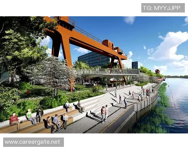 杭州排球队的奋斗历程与大师赛荣耀之路探秘