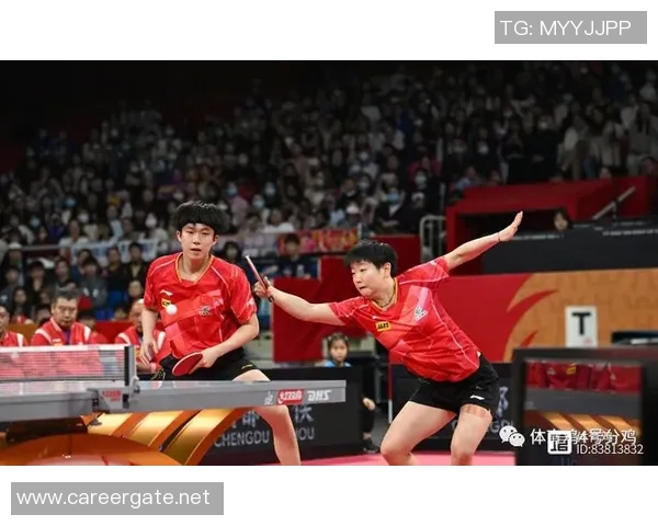 数据分析：上海乒乓球队的团队协作表现