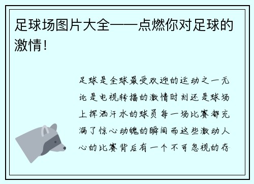 足球场图片大全——点燃你对足球的激情！