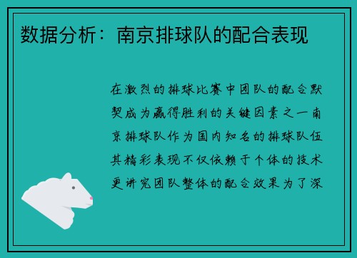 数据分析：南京排球队的配合表现
