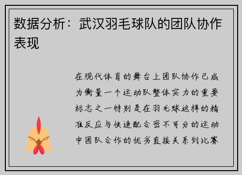 数据分析：武汉羽毛球队的团队协作表现